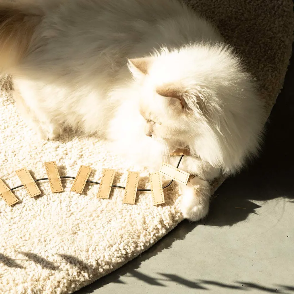 CHAT -  CANNE À PÊCHE COOPER