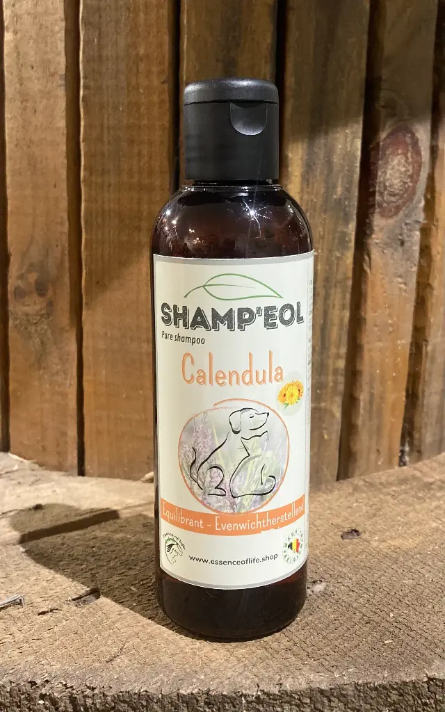 SHAMP'EOL CALENDULA - SHAMPOING  ÉQUILIBRANT