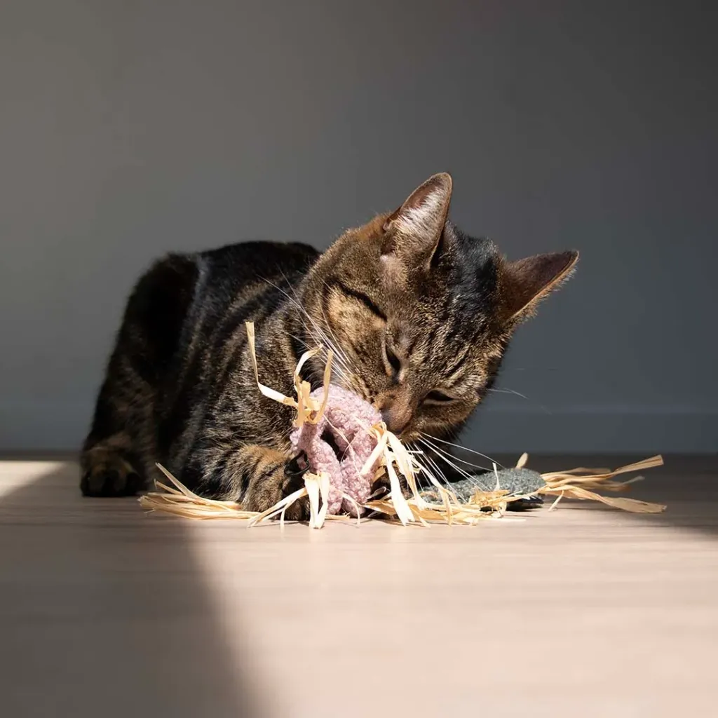 CHAT - JOUET MILLY (Rose)