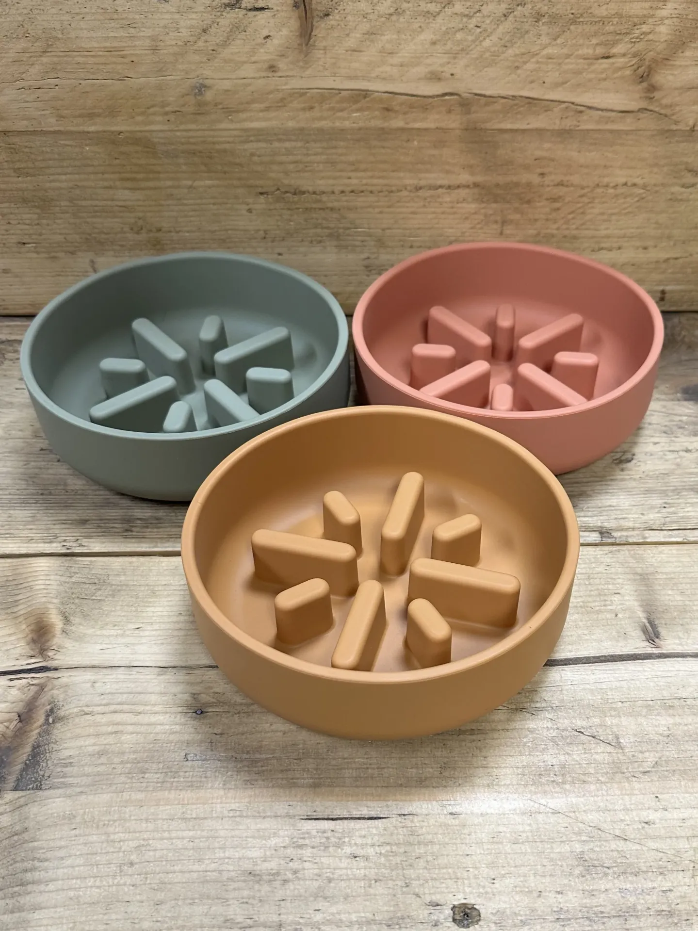 GAMELLE SILICONE ANTI - GLOUTON