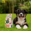 FRIANDISE VEGGIE - PACK FRUITY FRIENDS PUPPY SOFT