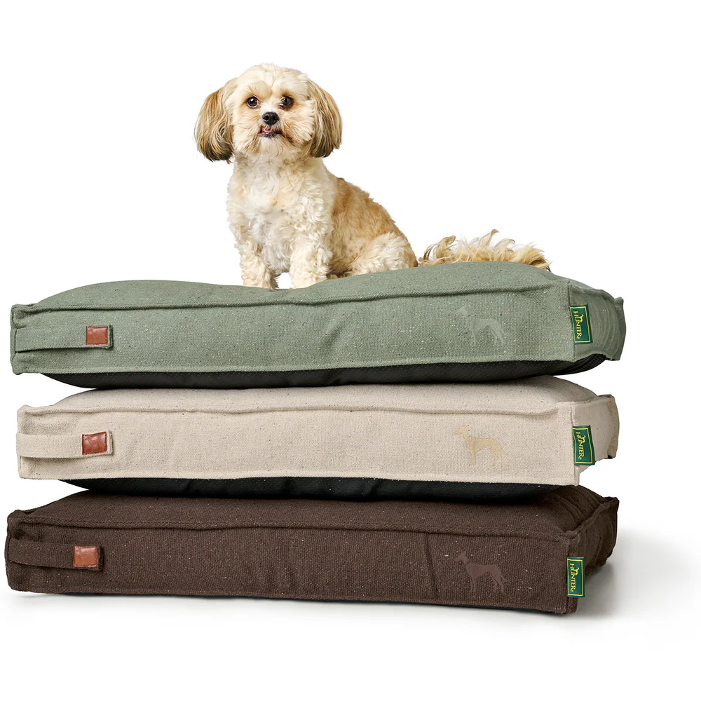 COUSSIN HUNTER - BELLUNO