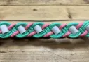 COLLIER ANTI PUCES, TIQUES ET PARASITES PEPS - VERT & ROSE
