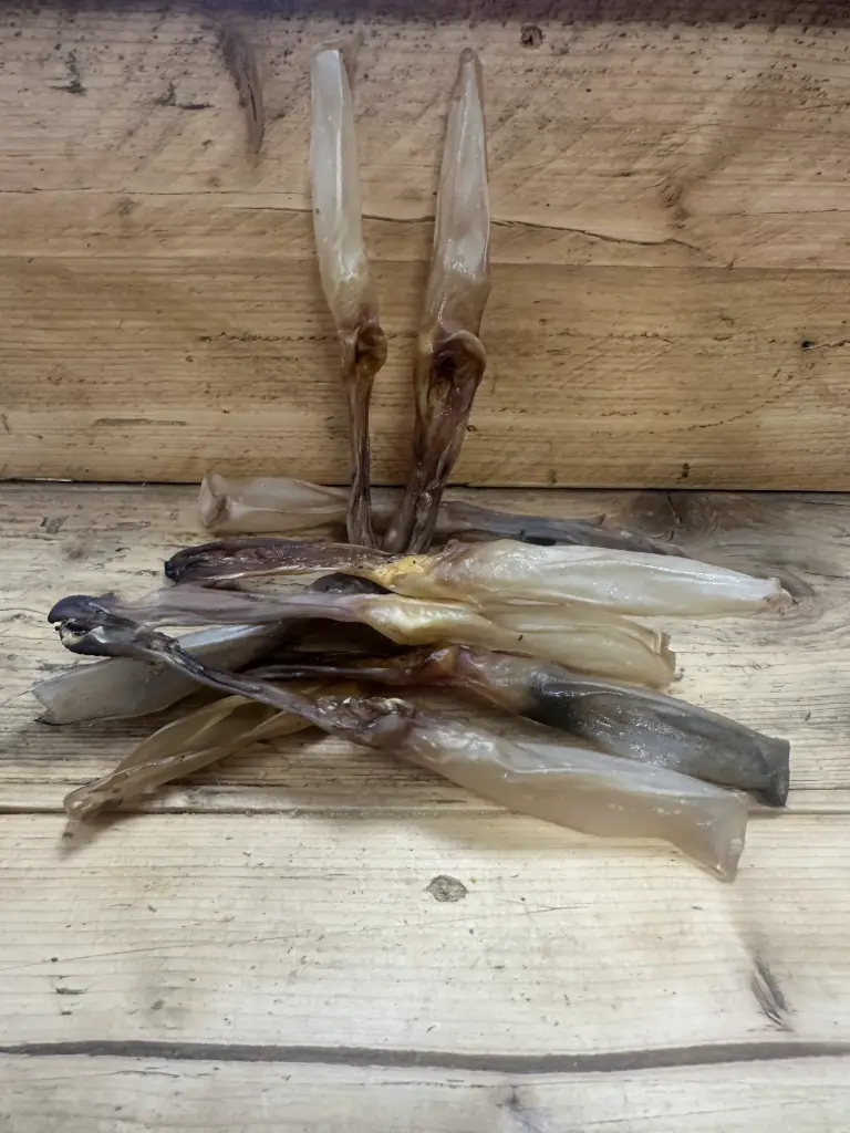 LAPIN - Oreille Séchée 