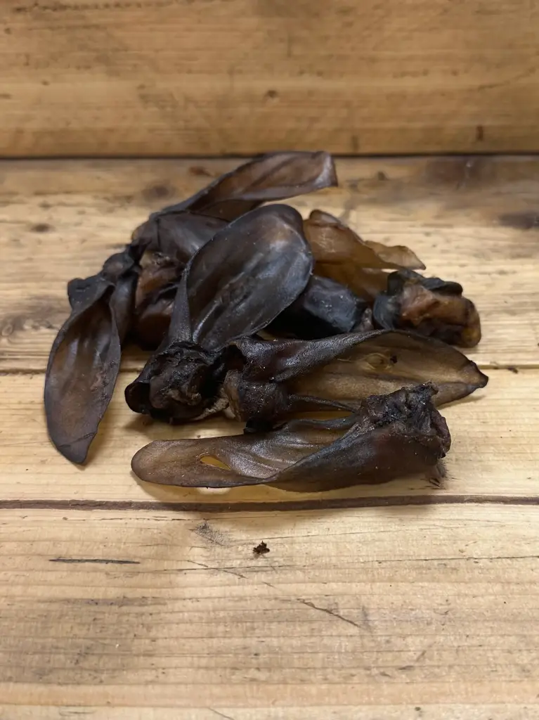 MOUTON - Oreille séchée