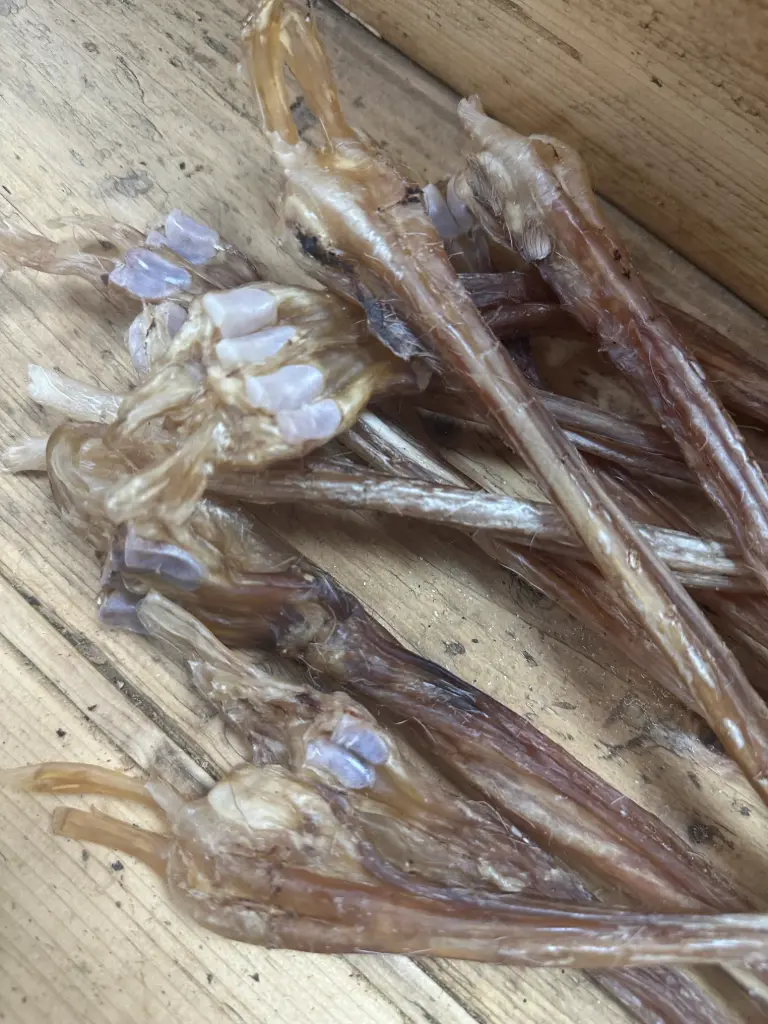 CERF - Tendon Séché