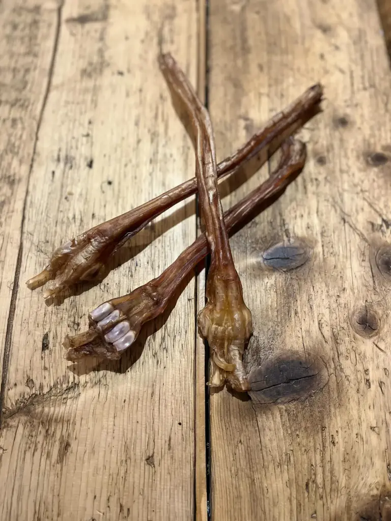 CERF - Tendon Séché