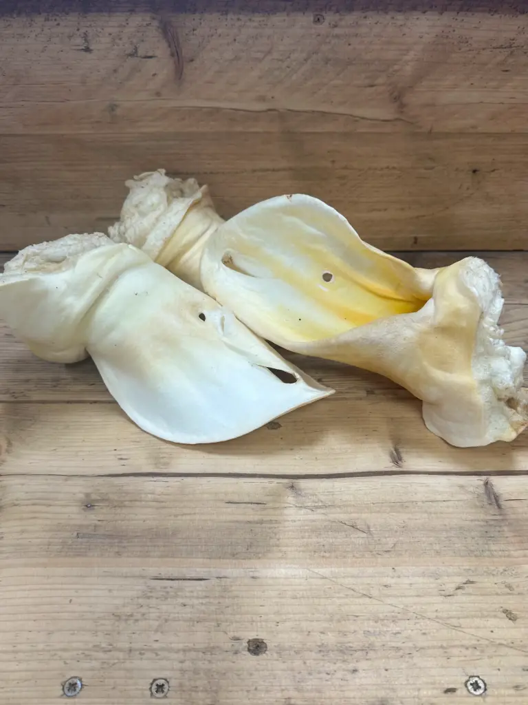 BŒUF - Oreille Soufflée