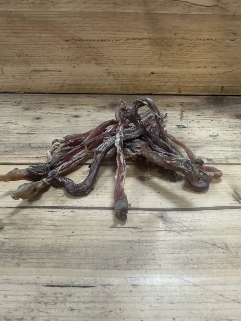 MOUTON - Pénis Séché