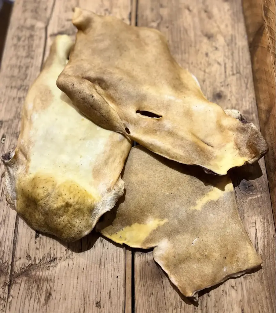 BŒUF - Plaque de peau Soufflée