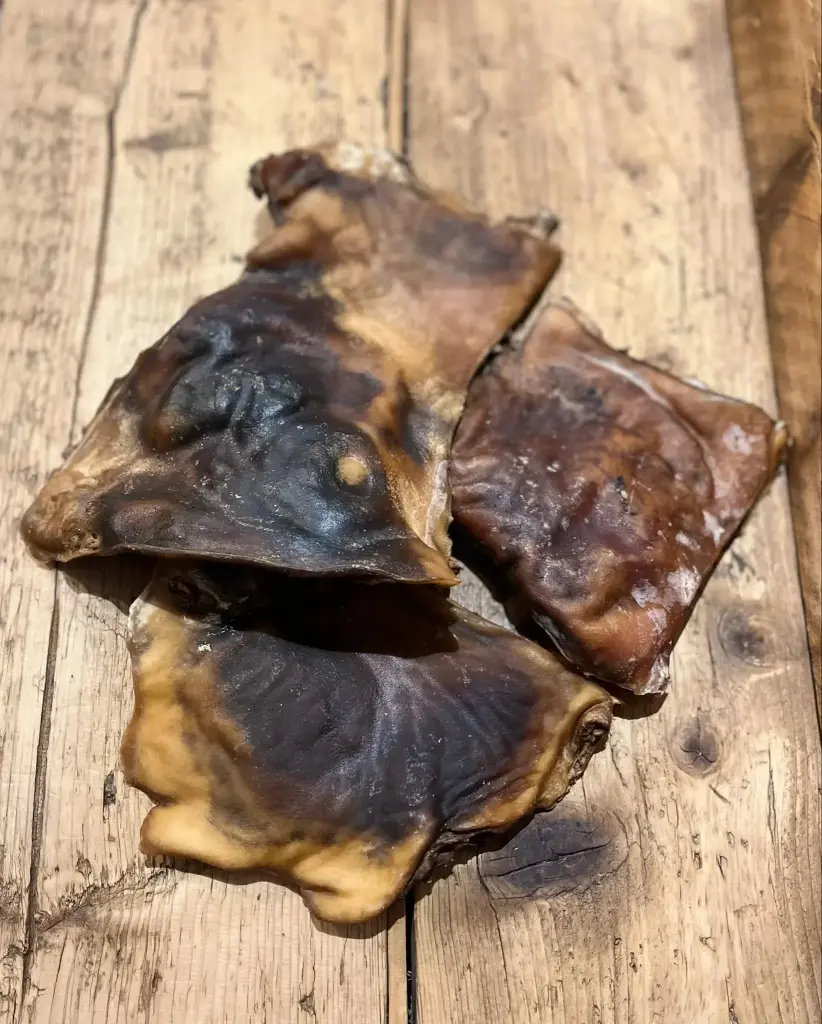 BŒUF - Plaque de peau Séchée