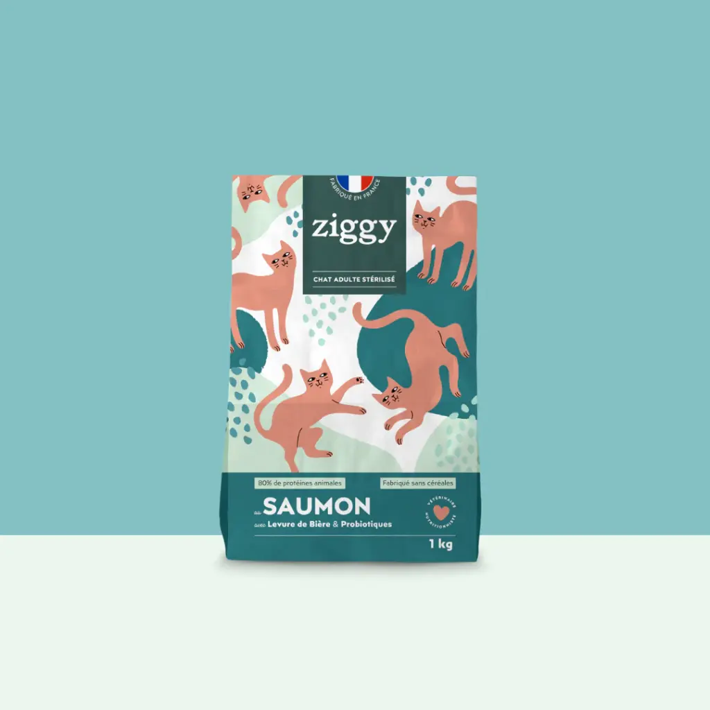 Croquettes SAUMON chat stérilisé Ziggy 
