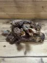 MOUTON - Trachée séchée