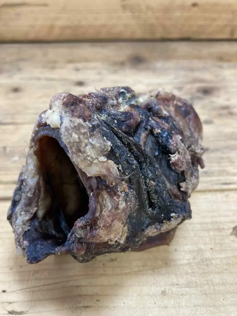 BŒUF - Œsophage séché