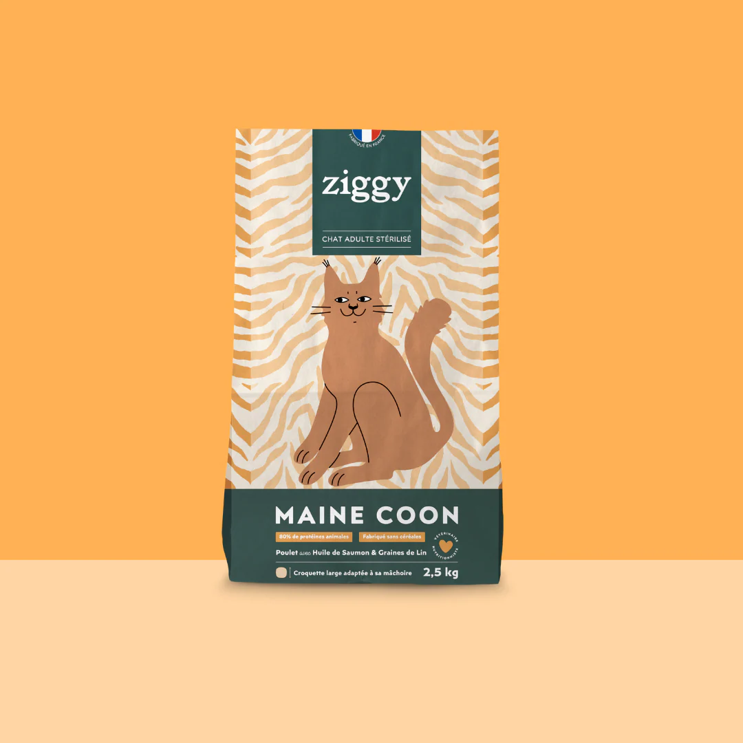 Croquettes MAIN COON chat stérilisé Ziggy