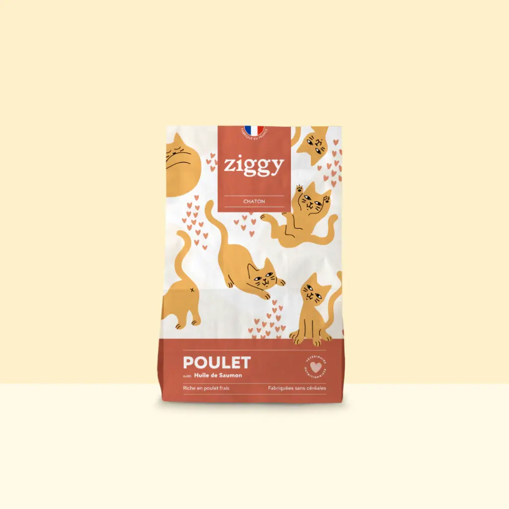 Croquettes CHATON POULET - Ziggy (1Kg)