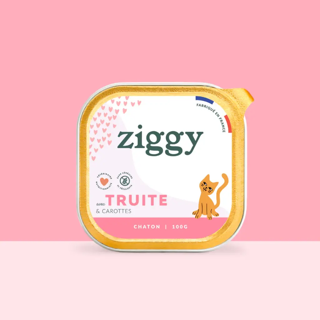 PÂTÉE CHATON TRUITE - ZIGGY