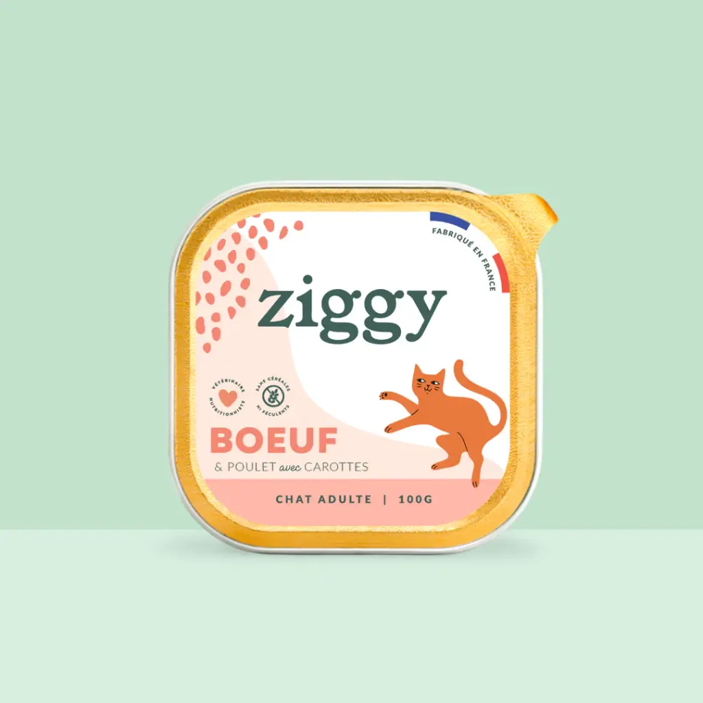 Pâtée Chat Adulte BŒUF Ziggy