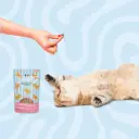 Gourmandises Chat Relax Ziggy