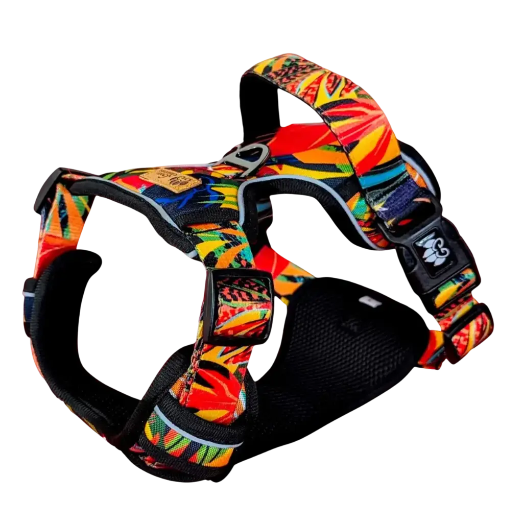 HARNAIS - PARURE GOOFY