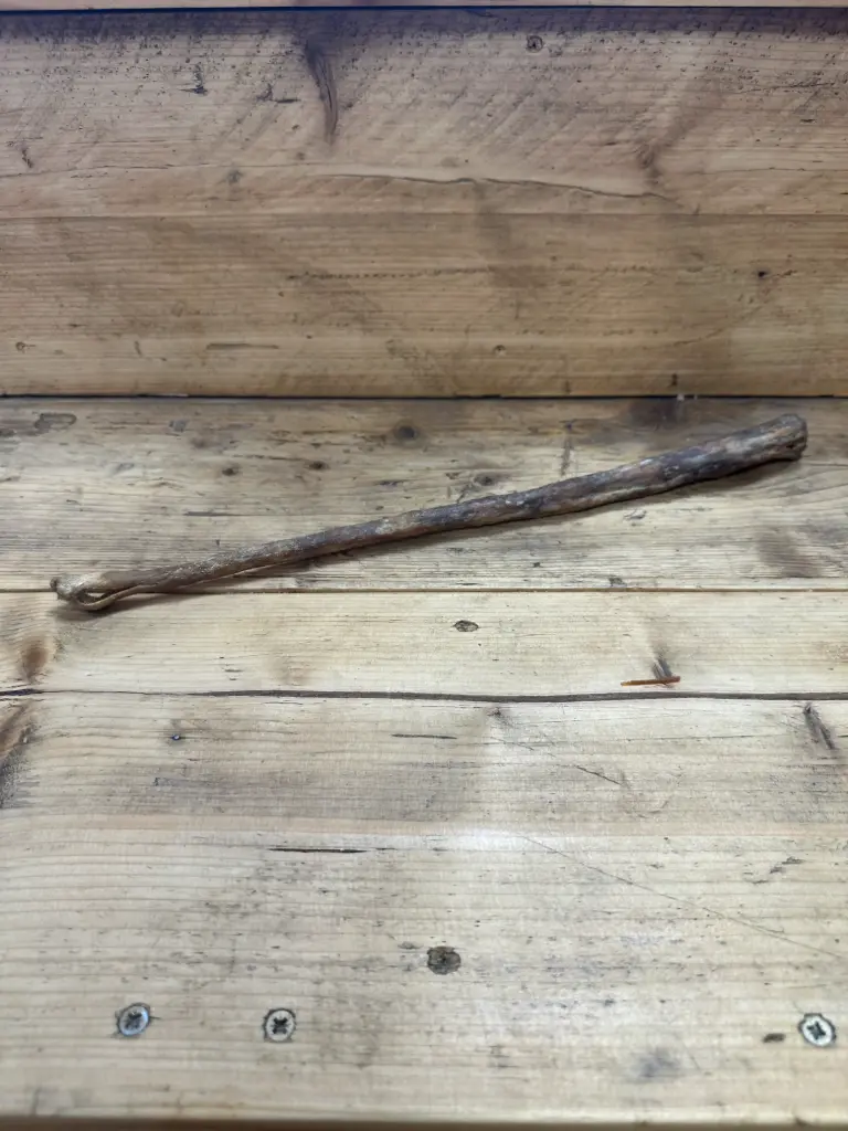 BŒUF - Queue Séchée 