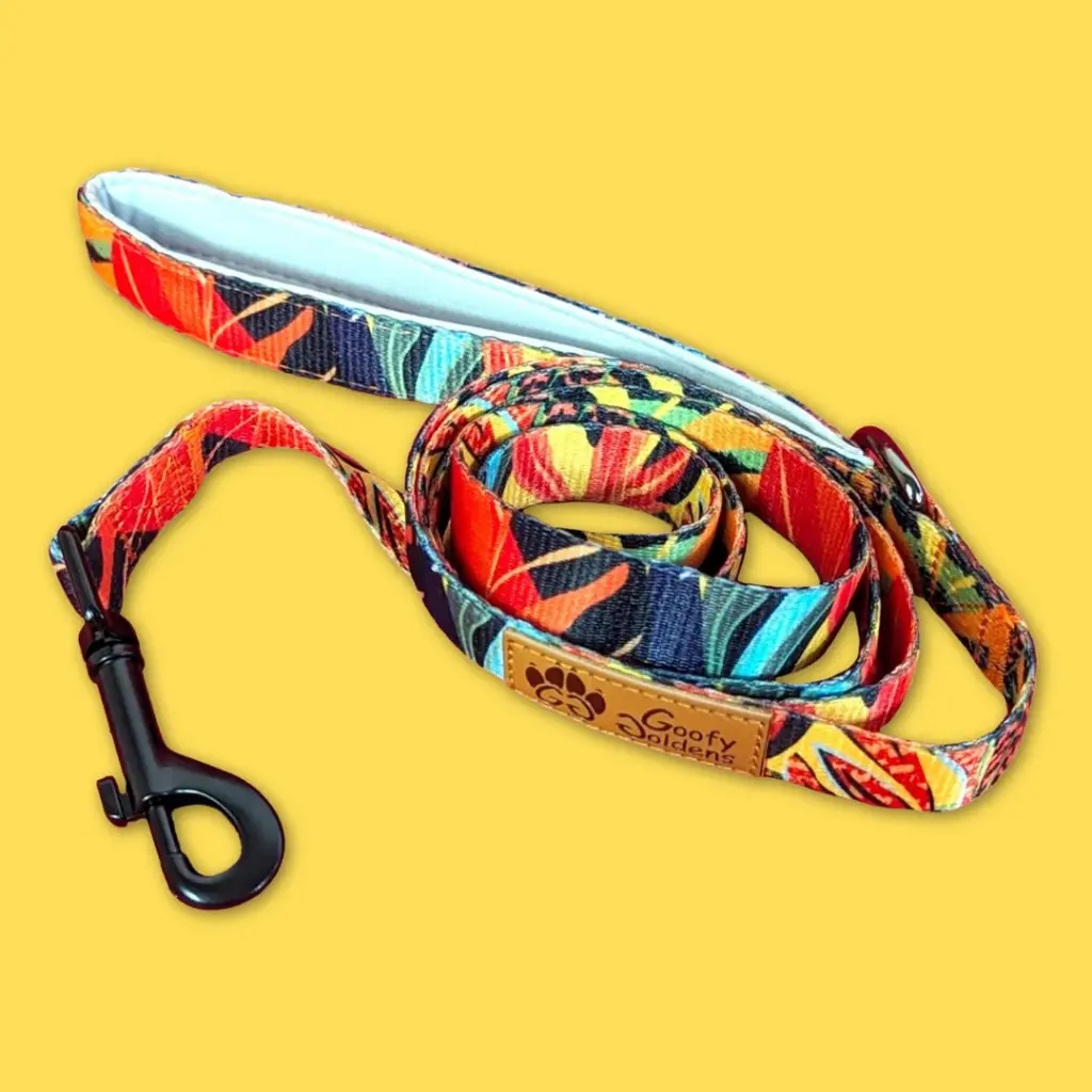 LAISSE - PARURE GOOFY