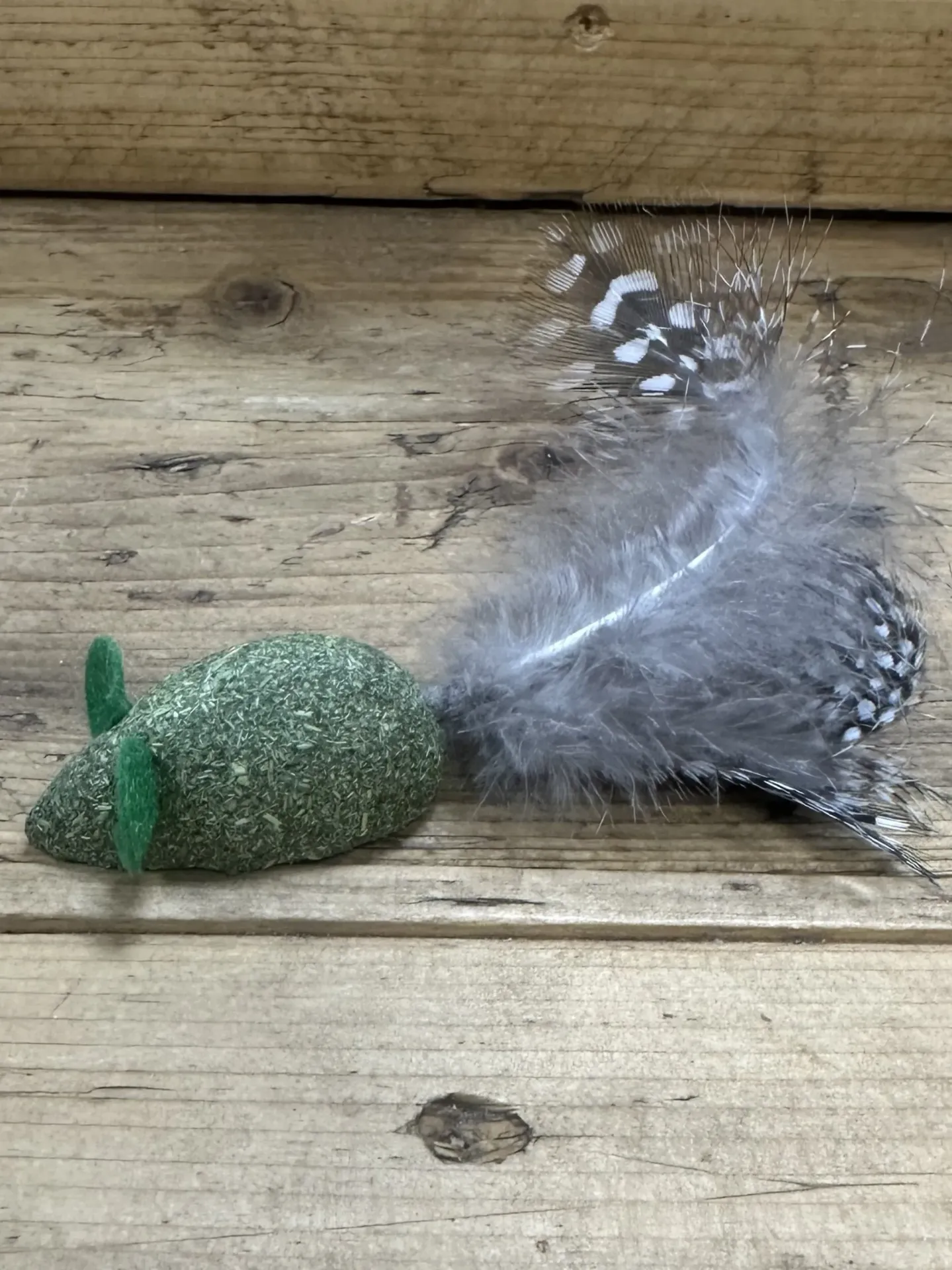 CHAT - SOURIS PLUMES