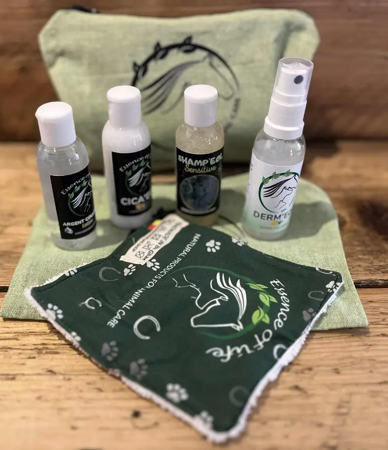 TROUSSE DE VOYAGE PREMIERS SECOURS