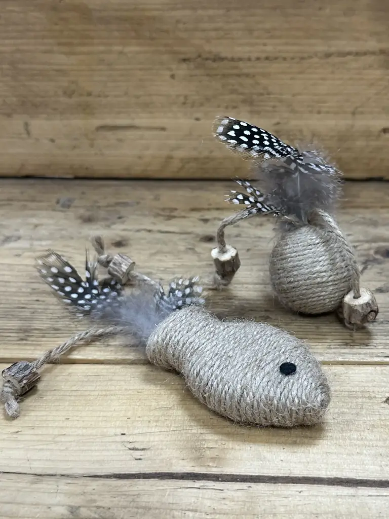 CHAT - POISSON ET BALLE AVEC PLUMES