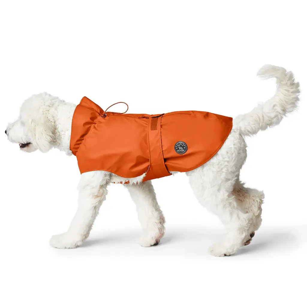 Manteau Chien - Imperméable 