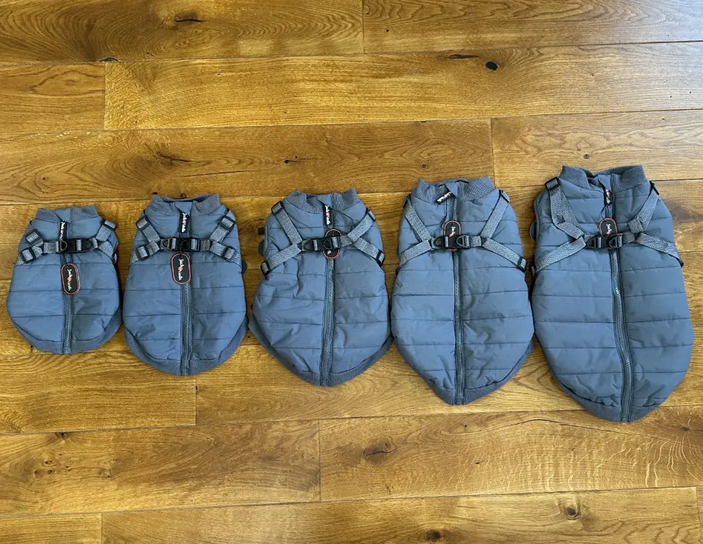 Manteau Chien Harnais Intégré