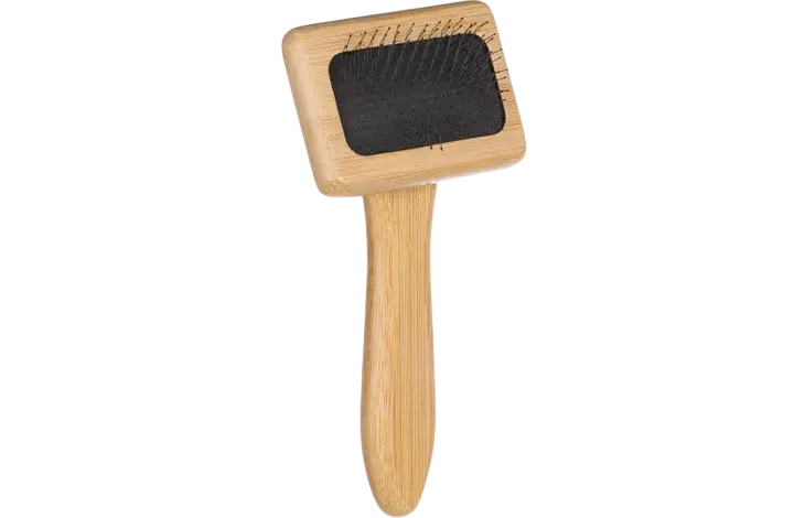 BABU BROSSE - CARDE