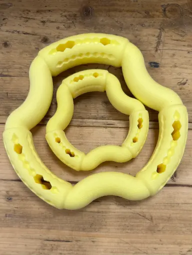 ANNEAU DENTAIRE FRUITÉ