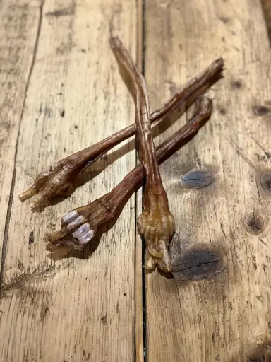 CERF - Tendon Séché