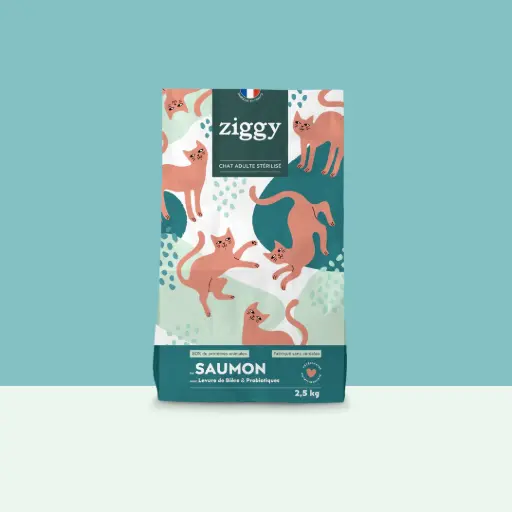 Croquettes SAUMON chat stérilisé Ziggy 