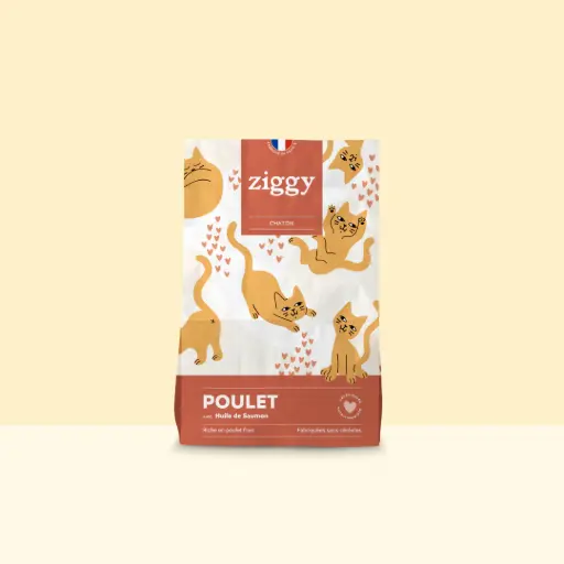 Croquettes CHATON  Ziggy