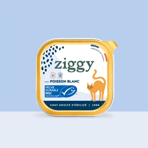 Pâtée Chat stérilisé POISSON BLANC Ziggy