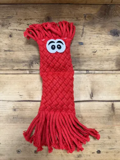 [521055] CORDE JONAS 