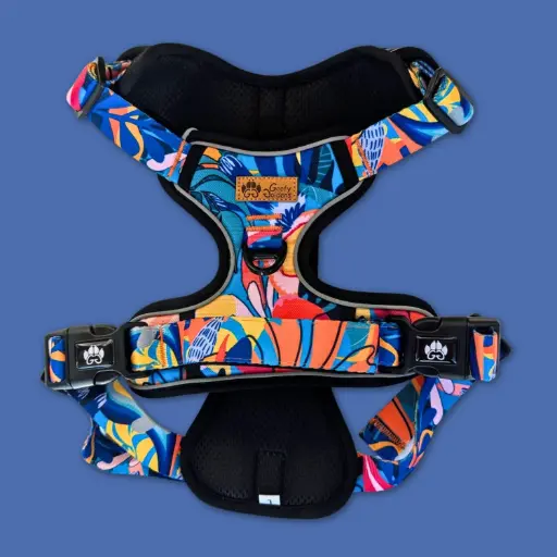 HARNAIS - PARURE GOOFY