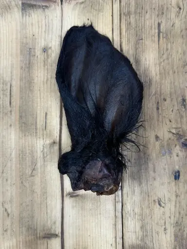 BŒUF - Oreille Poilue