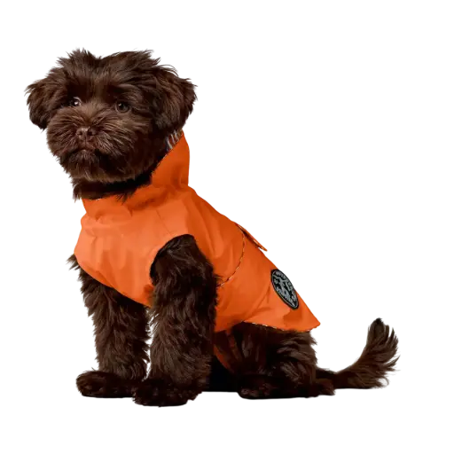 Manteau Chien - Imperméable 
