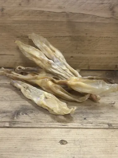 LAPIN - Oreille Soufflée