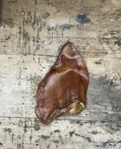 PORC - Oreille Séchée