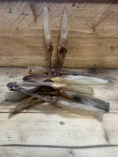 LAPIN - Oreille Séchée 