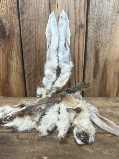 LAPIN - Oreille Poilue 